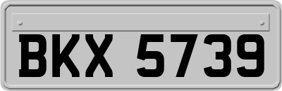 BKX5739