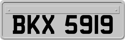 BKX5919