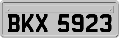 BKX5923
