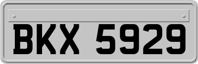 BKX5929
