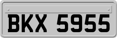 BKX5955