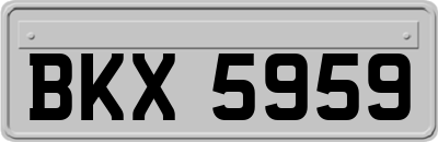 BKX5959