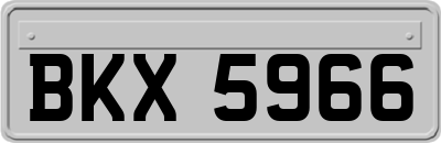 BKX5966