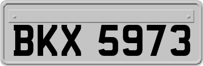 BKX5973