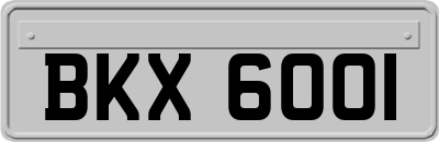 BKX6001