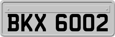 BKX6002