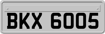 BKX6005