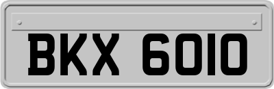 BKX6010