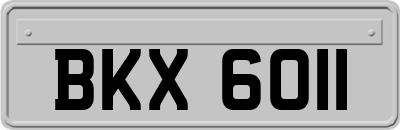 BKX6011