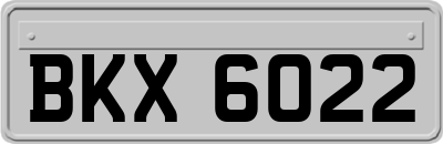 BKX6022