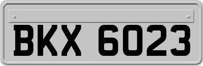 BKX6023