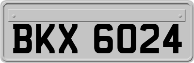 BKX6024