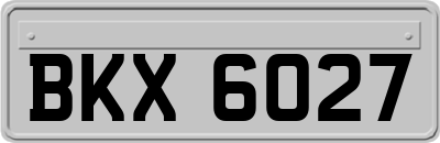 BKX6027