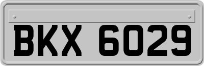 BKX6029