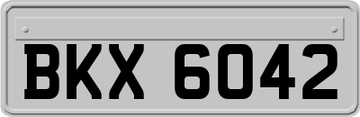 BKX6042