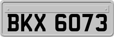 BKX6073