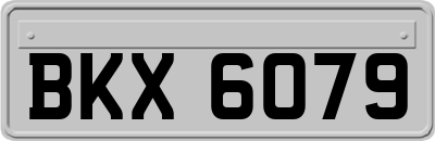 BKX6079