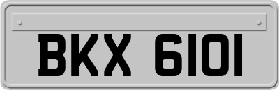 BKX6101