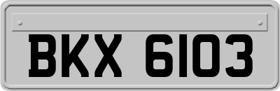 BKX6103
