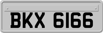 BKX6166
