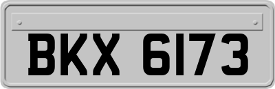 BKX6173