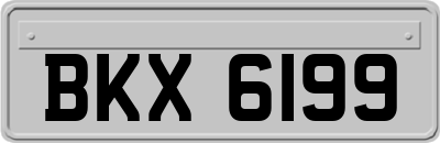 BKX6199