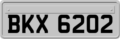 BKX6202