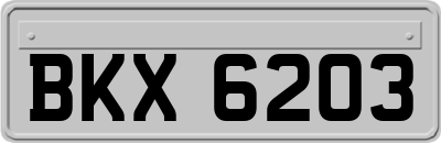 BKX6203