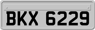 BKX6229