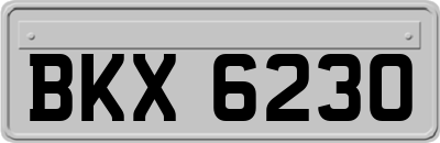 BKX6230