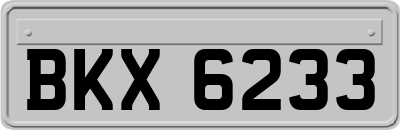 BKX6233