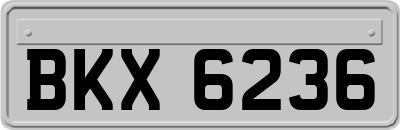 BKX6236