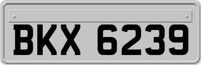 BKX6239