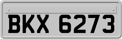BKX6273