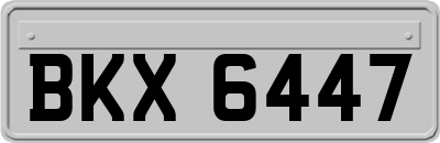 BKX6447