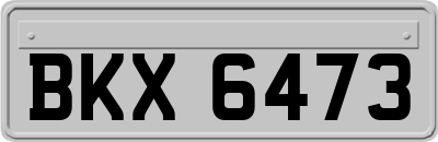 BKX6473