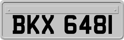 BKX6481