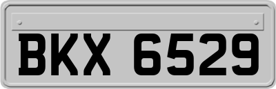 BKX6529