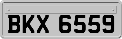 BKX6559