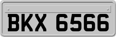 BKX6566