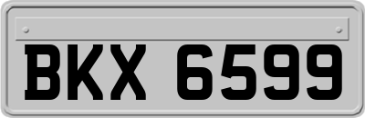 BKX6599