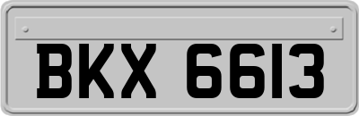 BKX6613