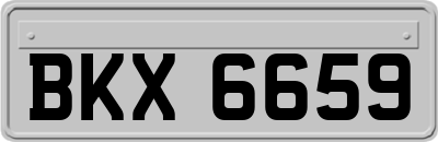 BKX6659