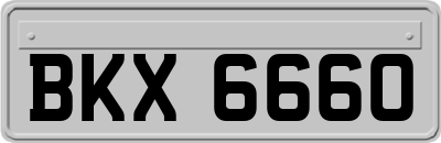 BKX6660