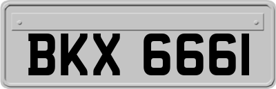 BKX6661