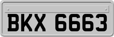BKX6663