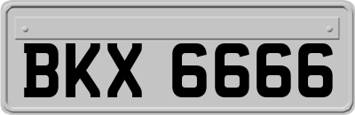 BKX6666