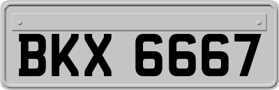 BKX6667