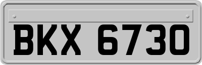 BKX6730