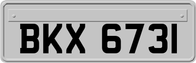BKX6731